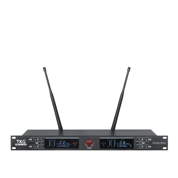 640-690MHz UR-2000-H 듀얼 채널 스킨  - Ribbon Microphone 리뷰 및 가격