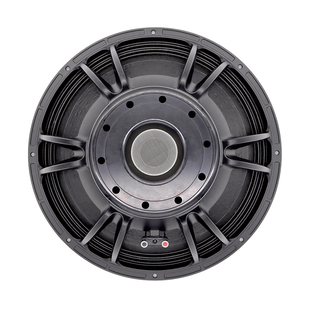 21인치 프로페셔널 오디오 시스템 라인 어레이 대형 파 - Subwoofer 리뷰 및 가격