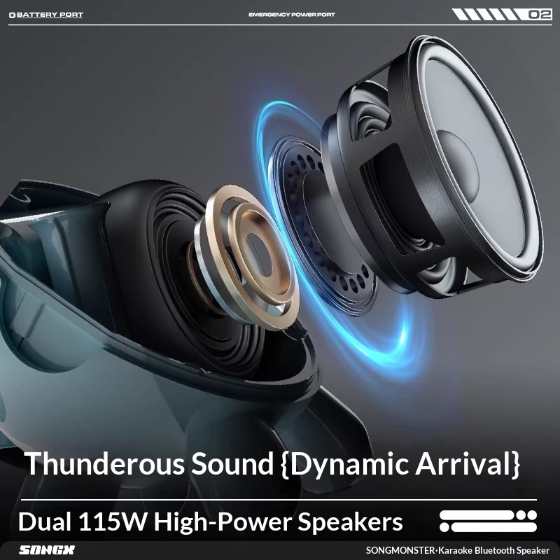 SONGX 오디오 듀얼 마이크 듀엣 15W 스피커 음악 - Full Range Speaker 리뷰 및 가격